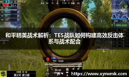 和平精英战术解析：TES战队如何构建高效反击体系与战术配合